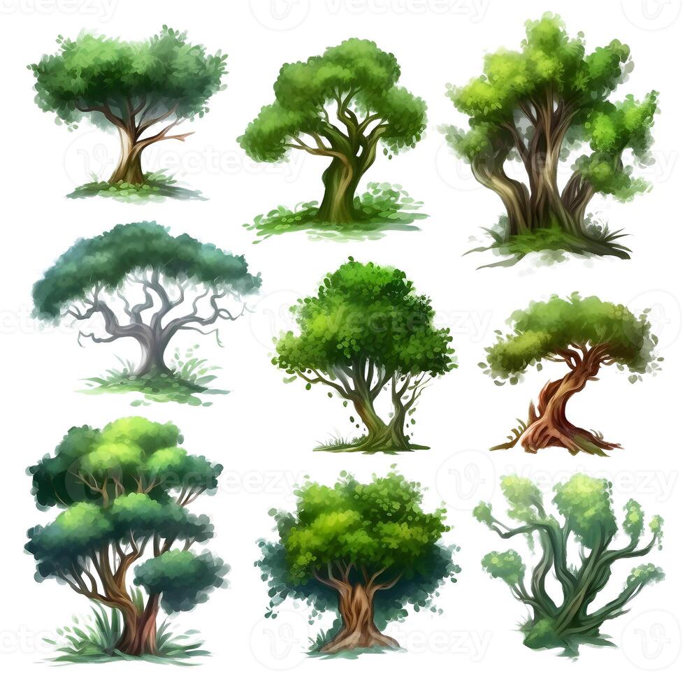 set of Tree elements isolated Collection Illustration photo