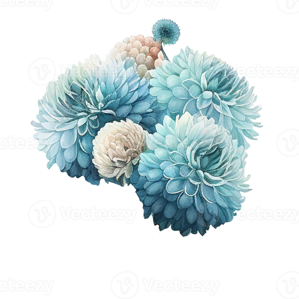 licht blauw helder waterverf bloem pompon dahlia's png