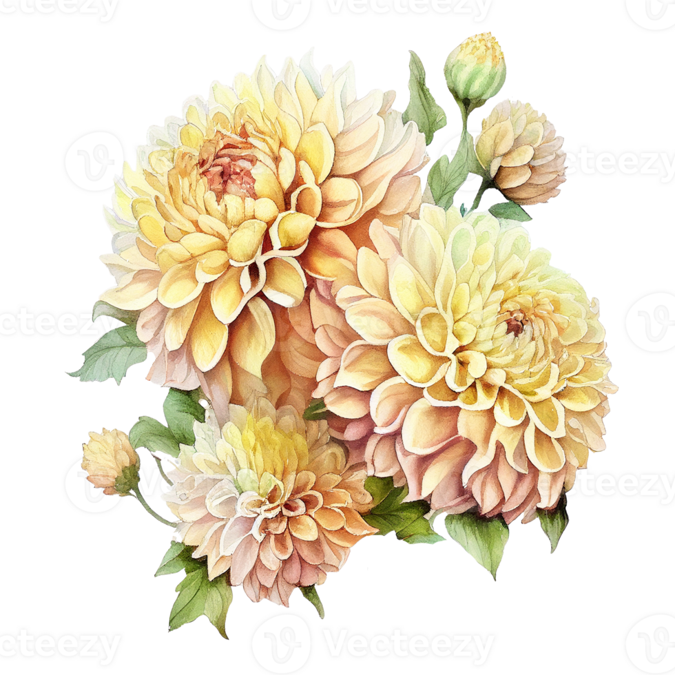 Jaune aquarelle fleur pompon dahlias. ai généré png