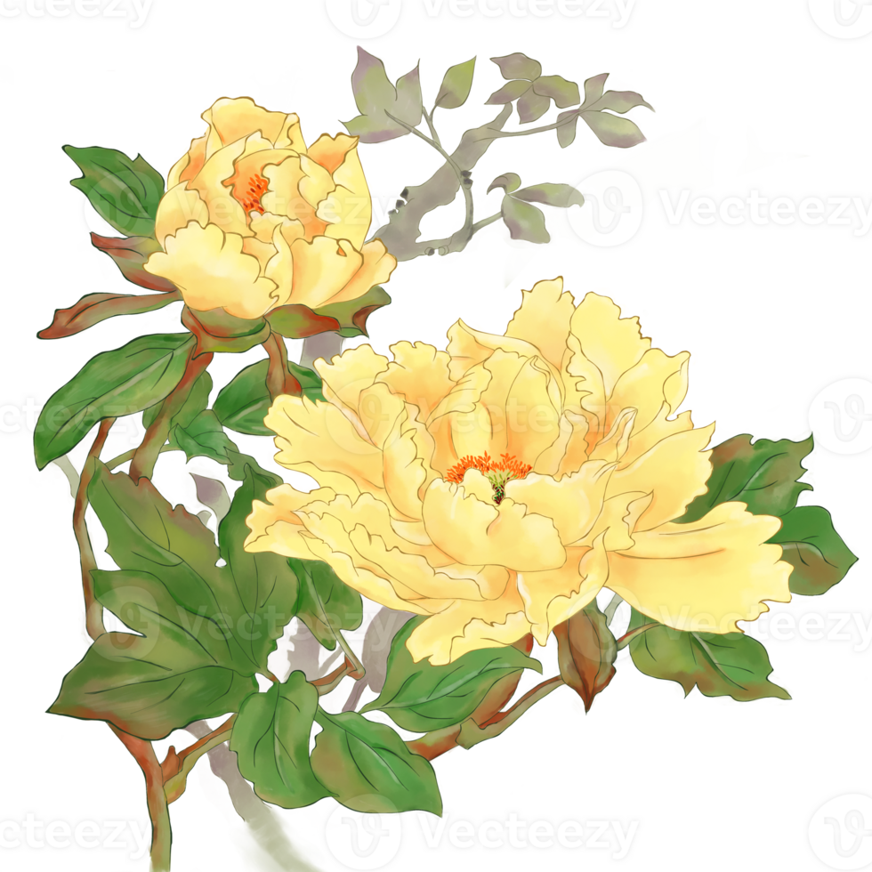 Digitally watercolor painting bushes of sweet yellow peony flower and green leaves. png