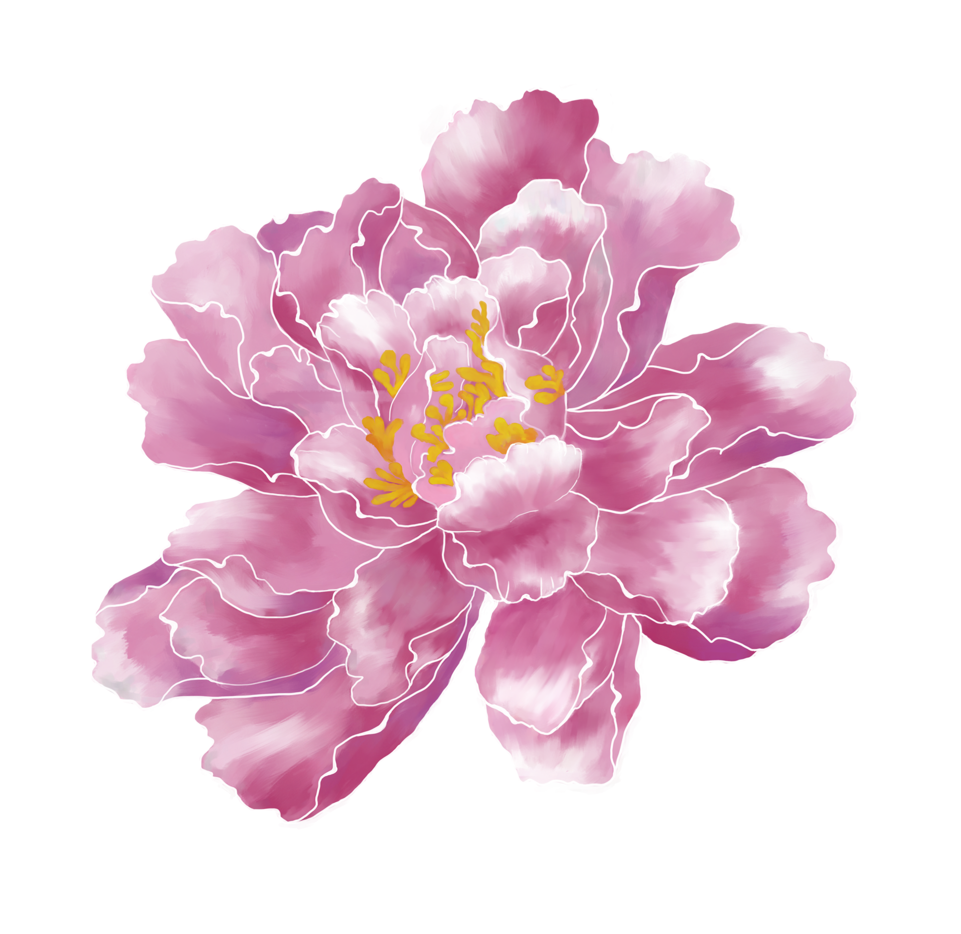 Natural Peony Essential Oil In A Glass Bottle Splash With Pink Flowers On  White Background, Organic Fresh Extracts Arom , AI Generative Stock Photo,  Picture and Royalty Free Image. Image 201340073.