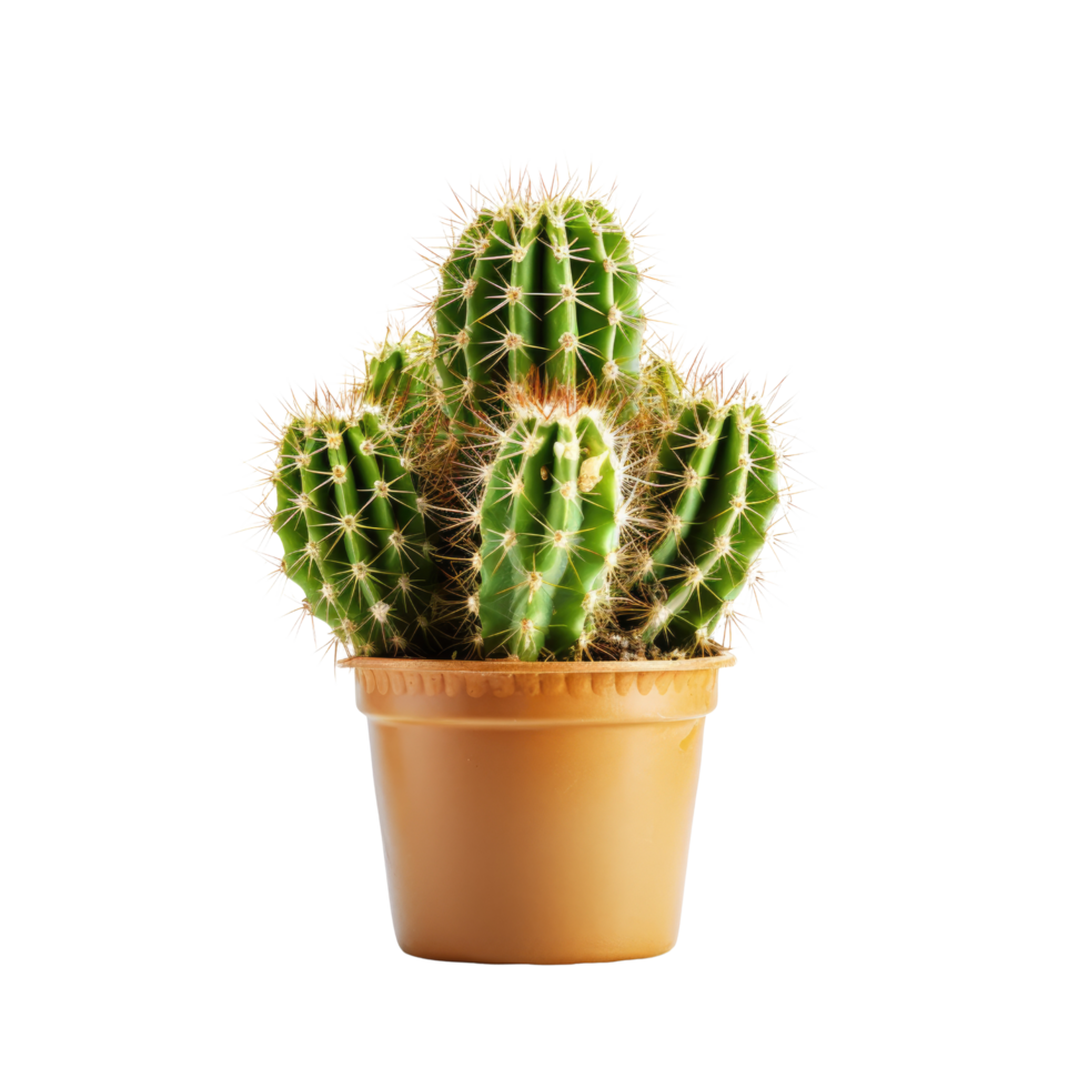 ai generated Cactus in a pot. Stock image for decorating a scene or background. png