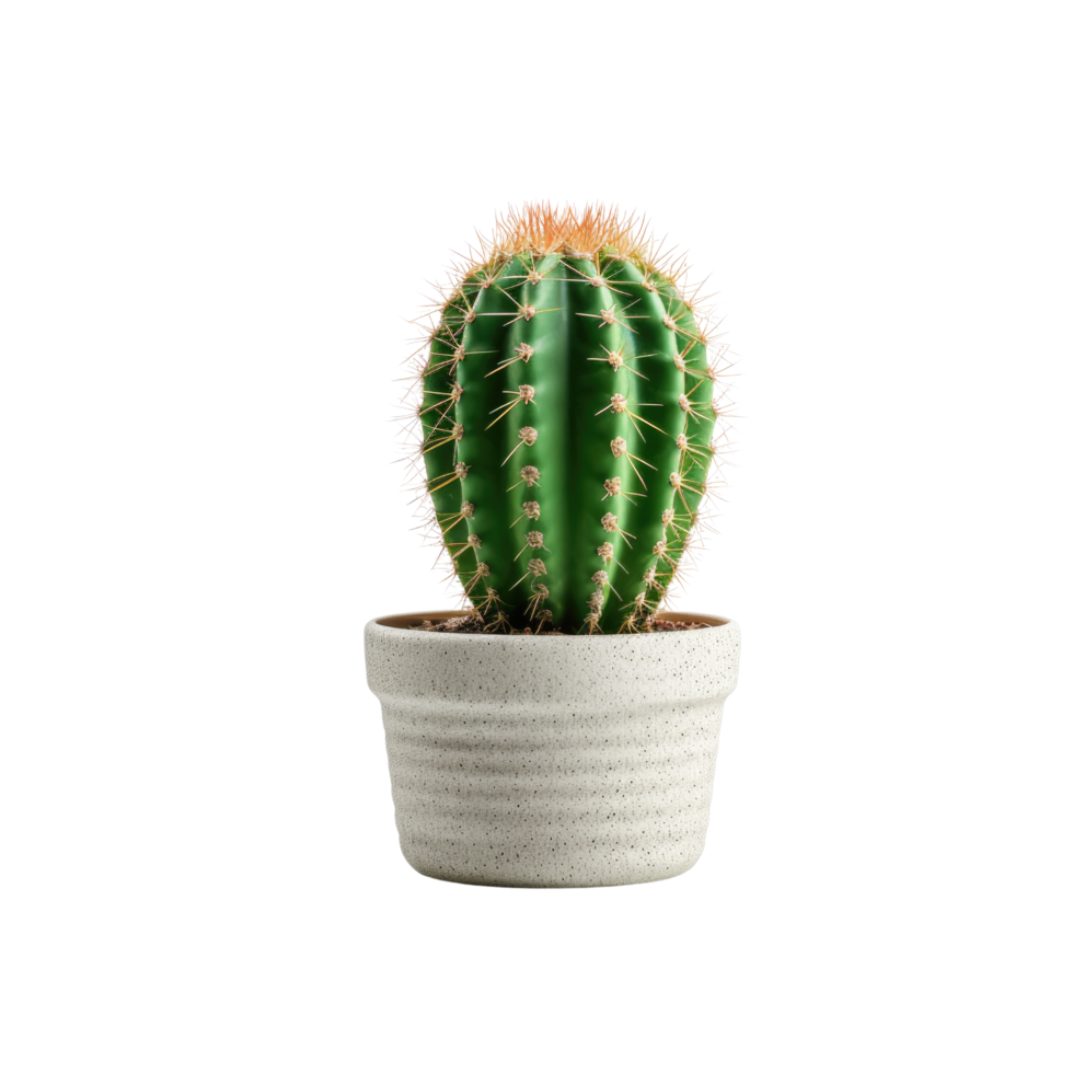 ai generated Cactus in a pot. Stock image for decorating a scene or background. png