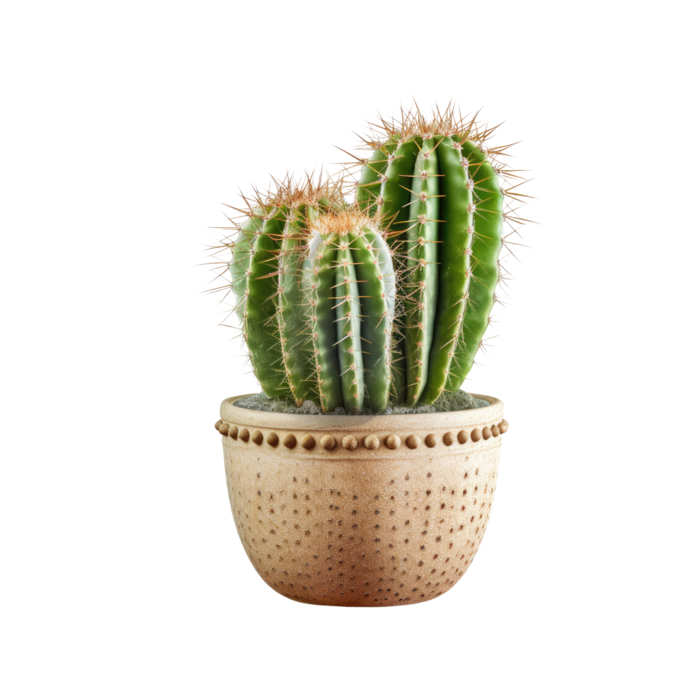 ai generated Cactus in a pot. Stock image for decorating a scene or background. png