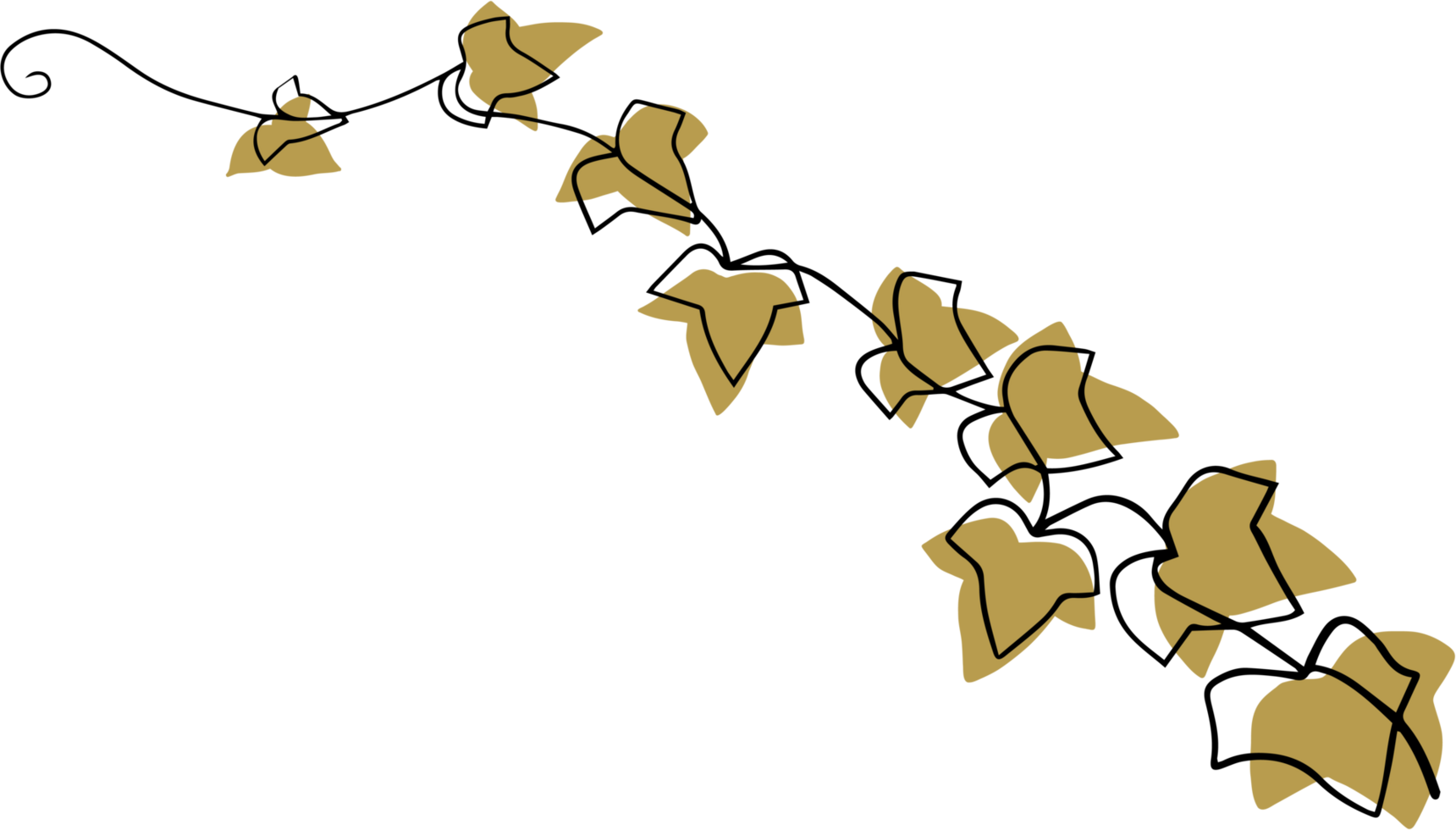 simplicity ivy continuous freehand drawing. png