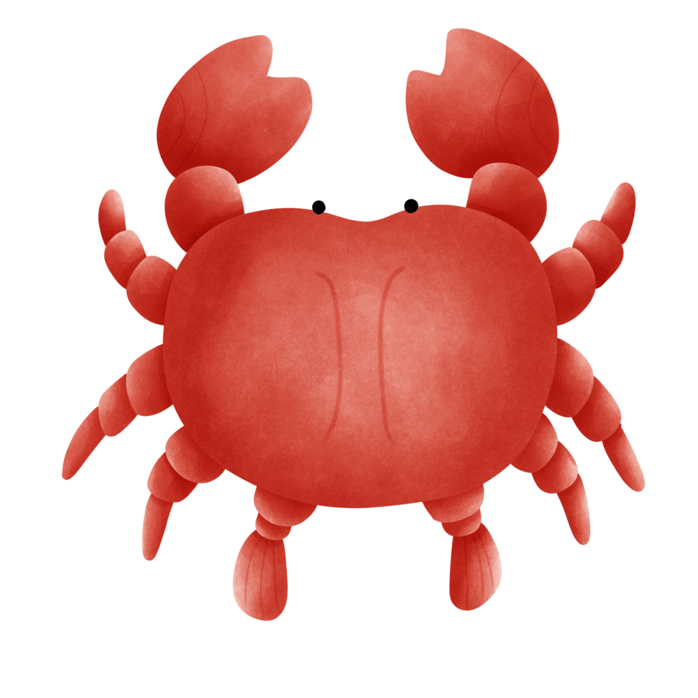 Cute and red crab png