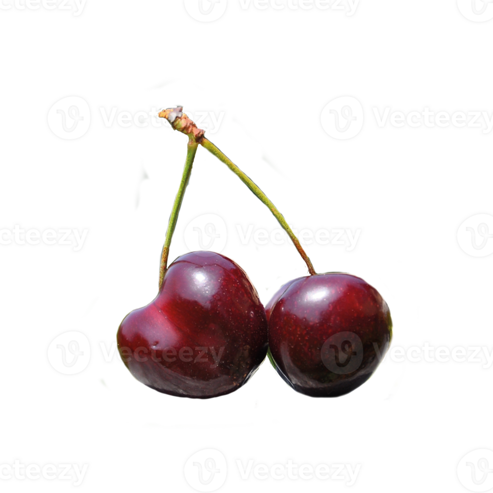 Isolated cherry. Cherry on the transparent background. With clipping path. png