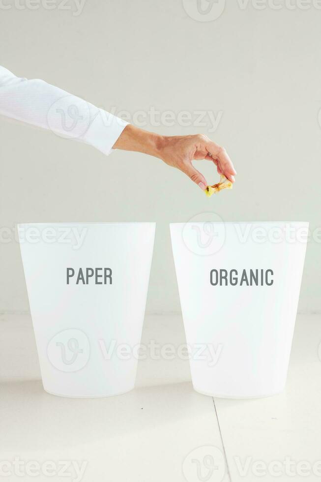 hand throwing an apple core to a corresponding rubbish bin. Organic and paper rubbish segregation photo
