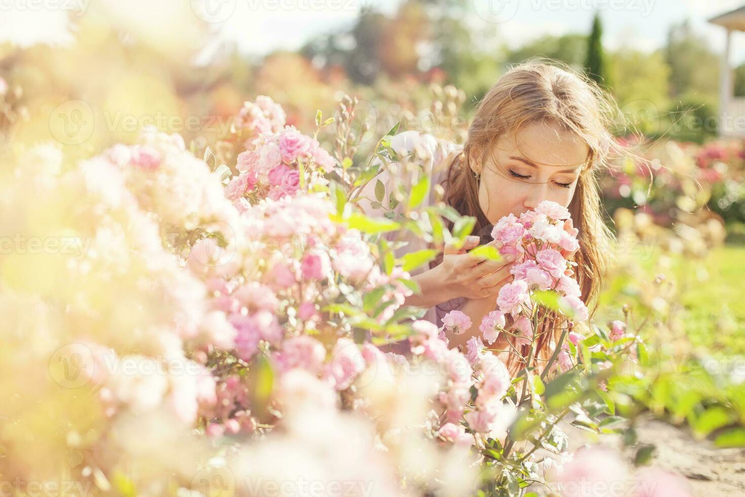 smell of the flower photo