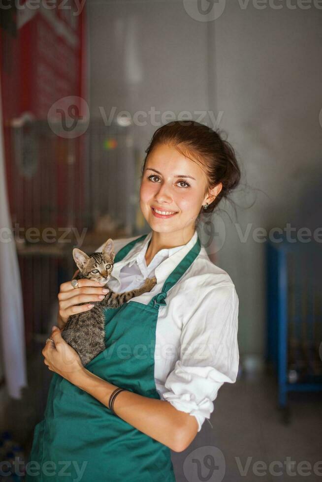 woman working in animal shelter photo
