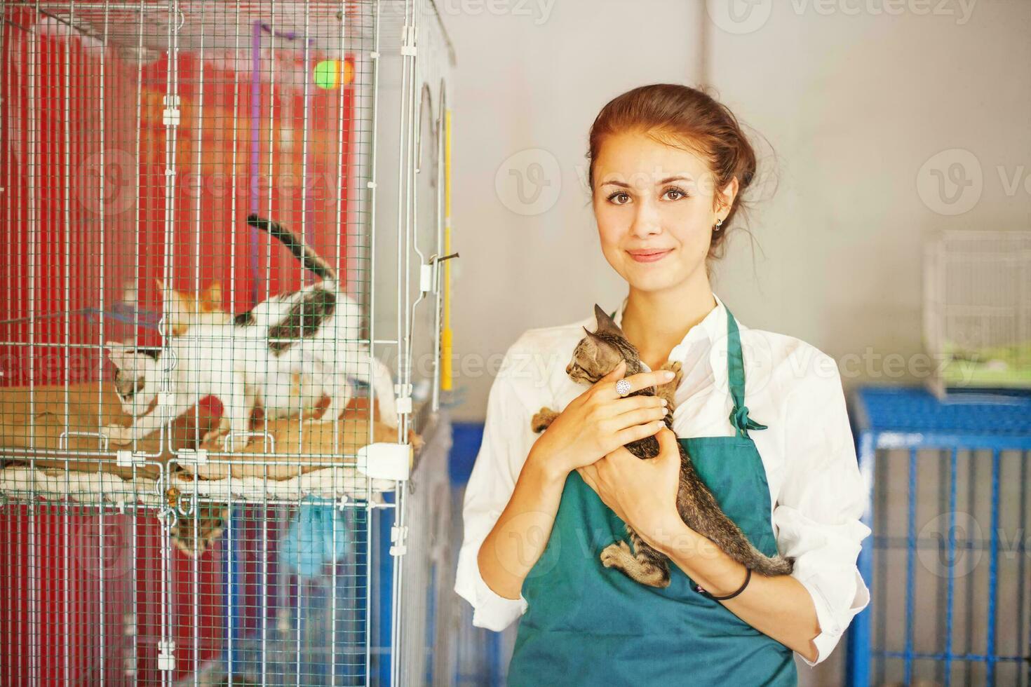 mujer trabajando en animal abrigo foto