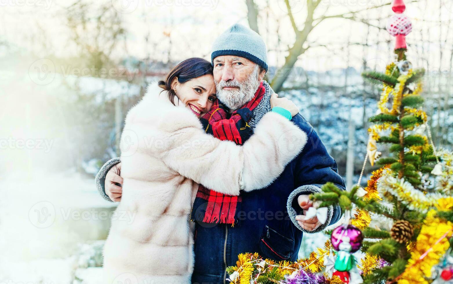 Family setting up a Christmas tree 24754187 Stock Photo at Vecteezy