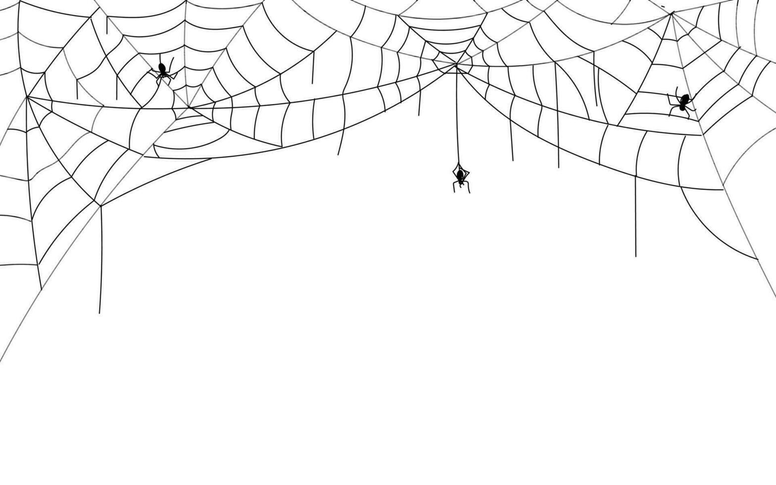 Halloween spider web border, spooky cobwebs with hanging spiders vector