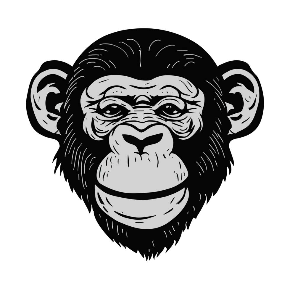 chimpansee transparant achtergrond png