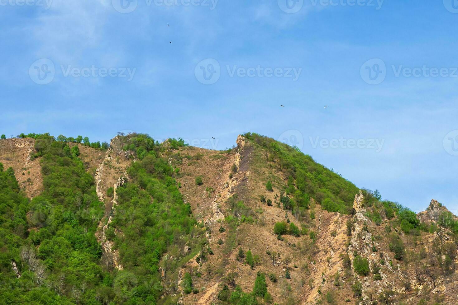 Jagged rocky ridge covered with sparse forest against a blue sky. Minimalistic atmospheric landscape with rocky mountain wall with pointy top in sunny light. Loose stone mountain slopes. photo