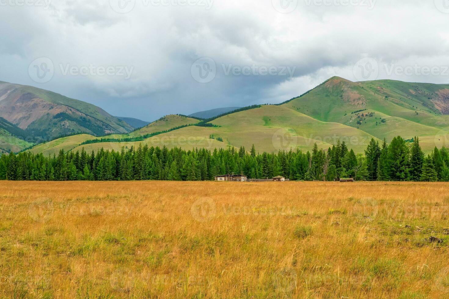 Small village house near fir forest foot of green mountain. Amazing home near abyss with picturesque mountain slope. Countryside in highlands. photo