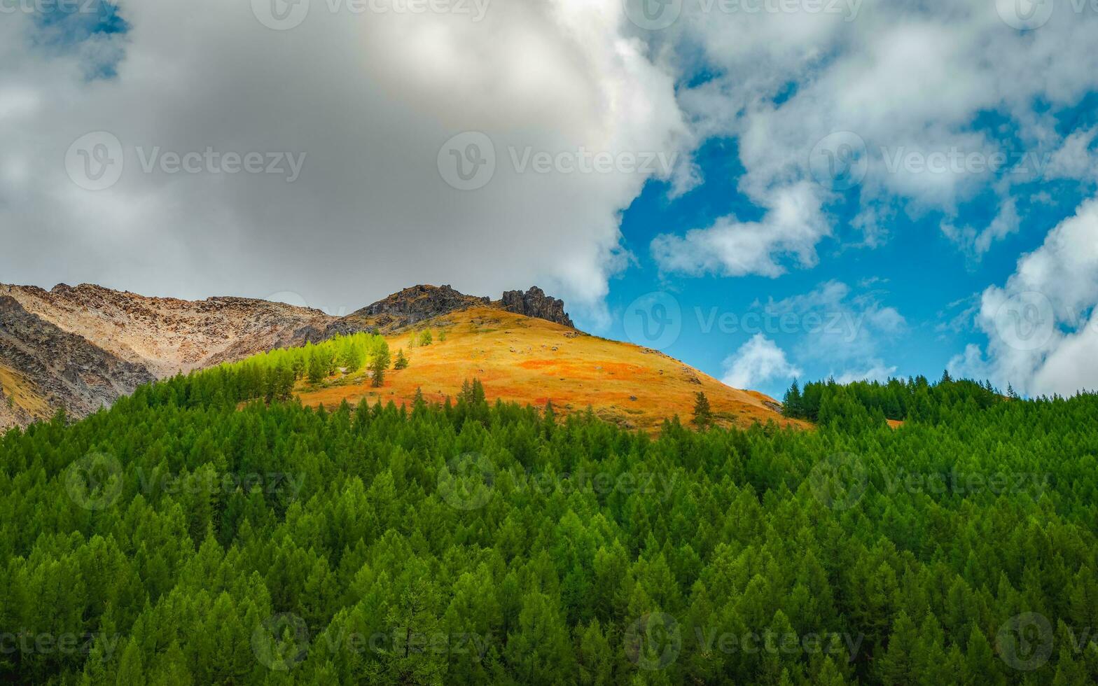 Panoramic mountain landscape with rock in golden sunlight. Nature background of rocky mountain wall with sharp rock and green forest. Colorful sunny backdrop with high rocky mountain. photo