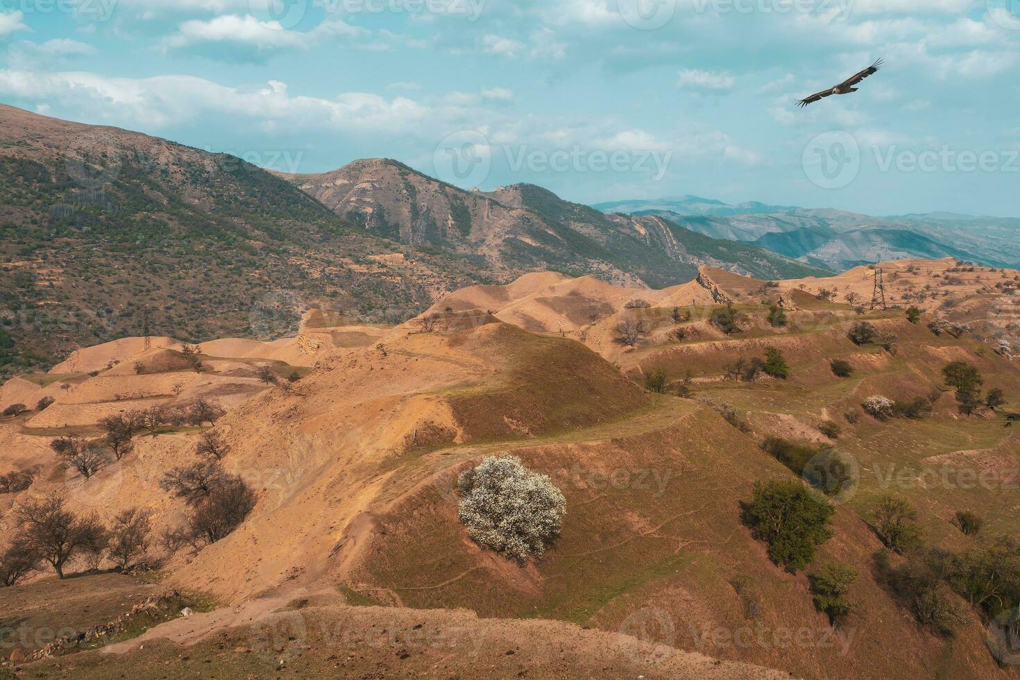 Spring mountain texture, mountain terrain. Colorful sunny morning landscape with silhouettes of big rocky mountains and epic deep gorge. photo