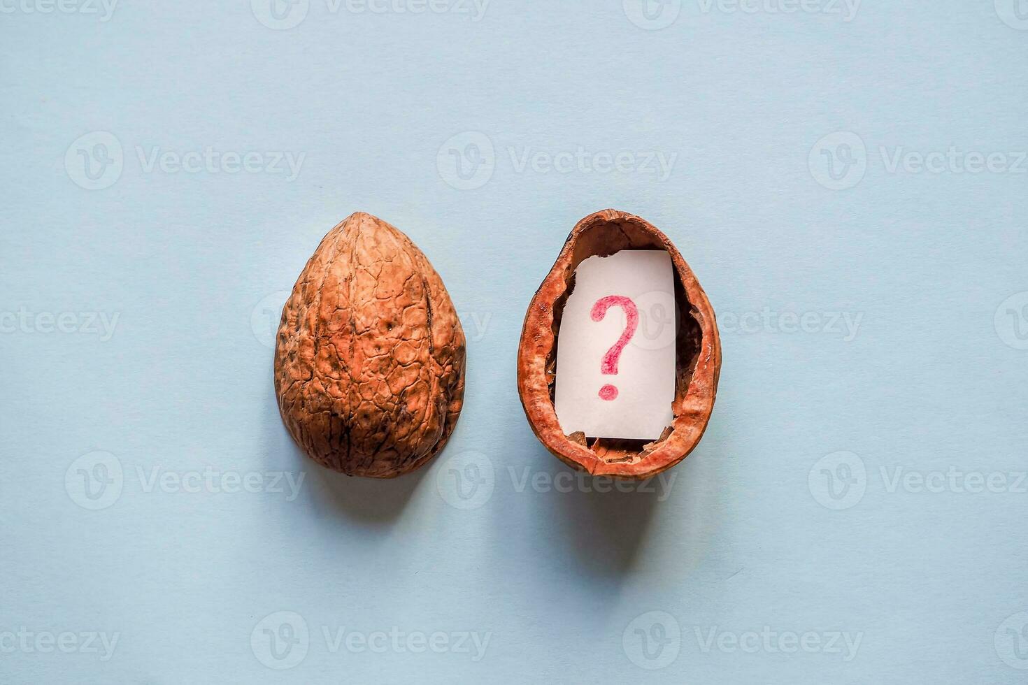 The question mark in the shell of a nut on a blue background. photo