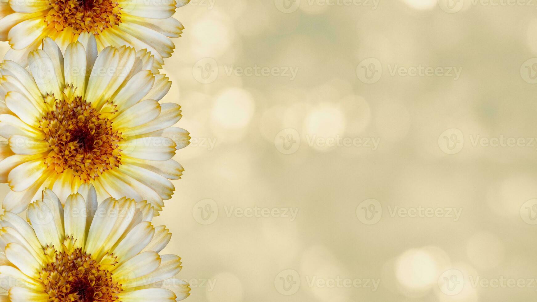 Beautiful marigold flower on yellow blurred background. Festive flowers concept. Floral card with flowers, copy space. photo