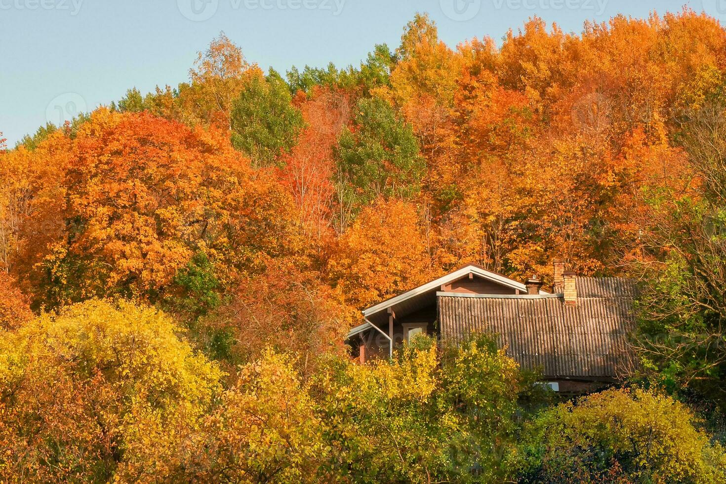 Roof house on a hillside surrounded by colorful autumn foliage photo