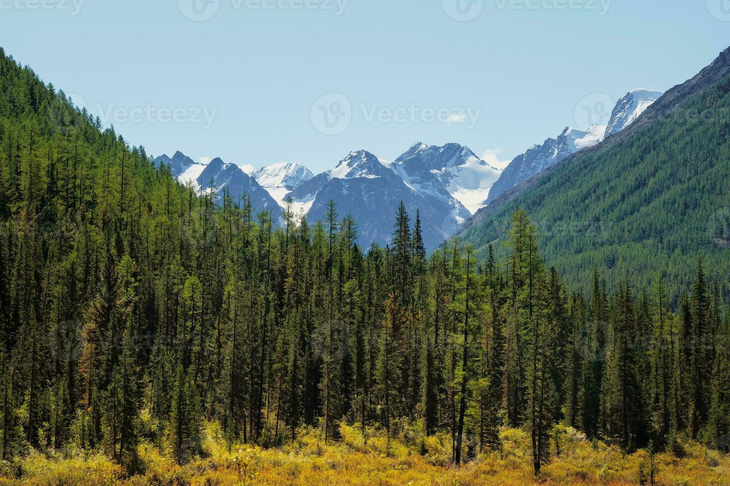 Minimalist atmospheric mountains landscape with big snowy mountain top over alpine green forest. Bright landscape with big mountain peak with glacier behind green fir tops in sunny day. photo