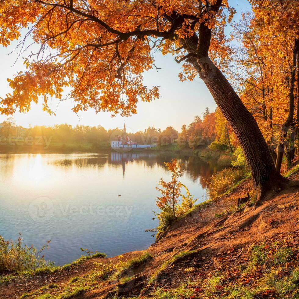Sunny autumn morning landscape. A bright autumn misty landscape with golden trees by the pond and an old palace. Gatchina. Russia. photo