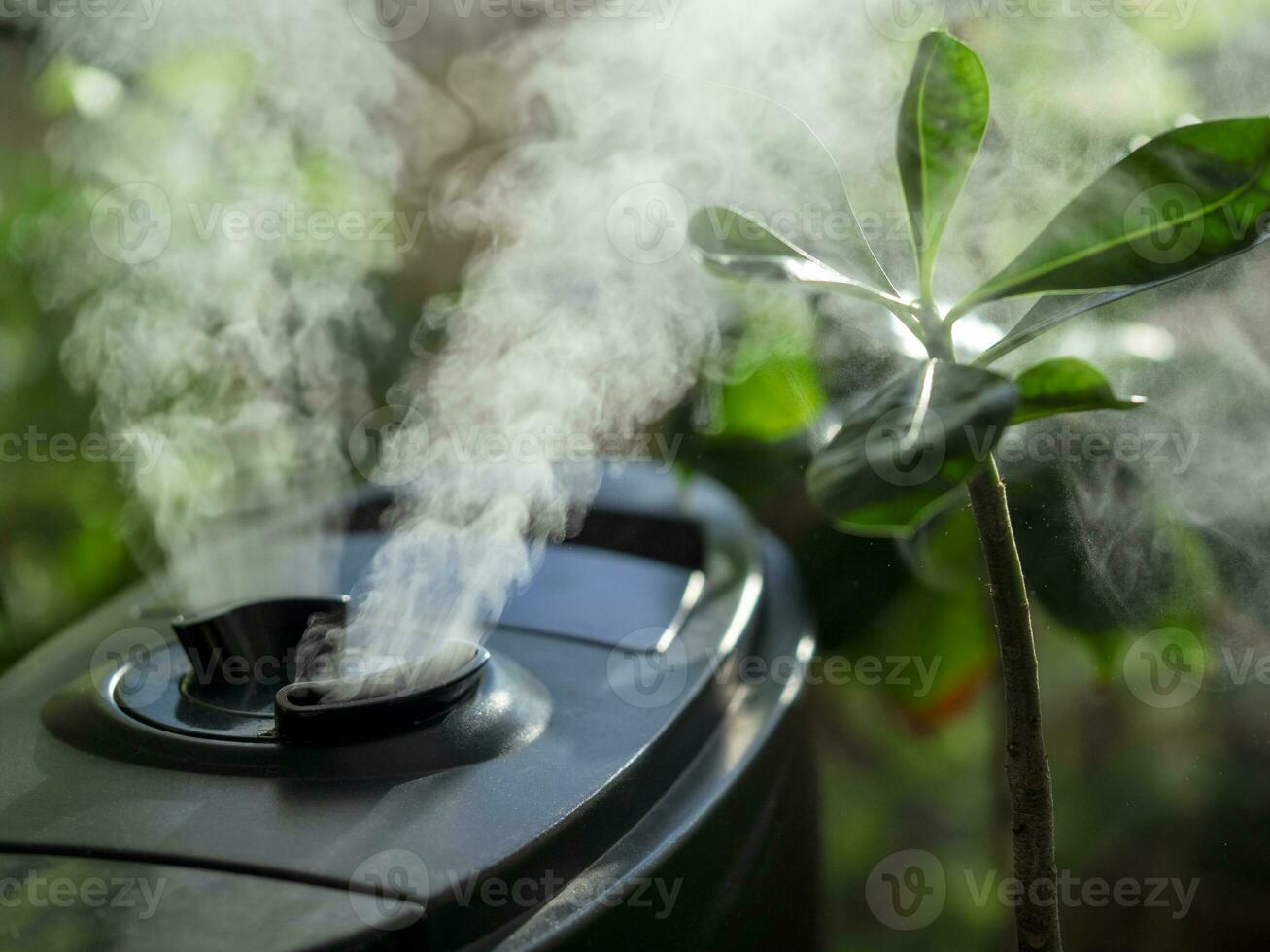 Humidifier for flowers. Air humidifier on the window at home, water steam direction to a houseplant. photo