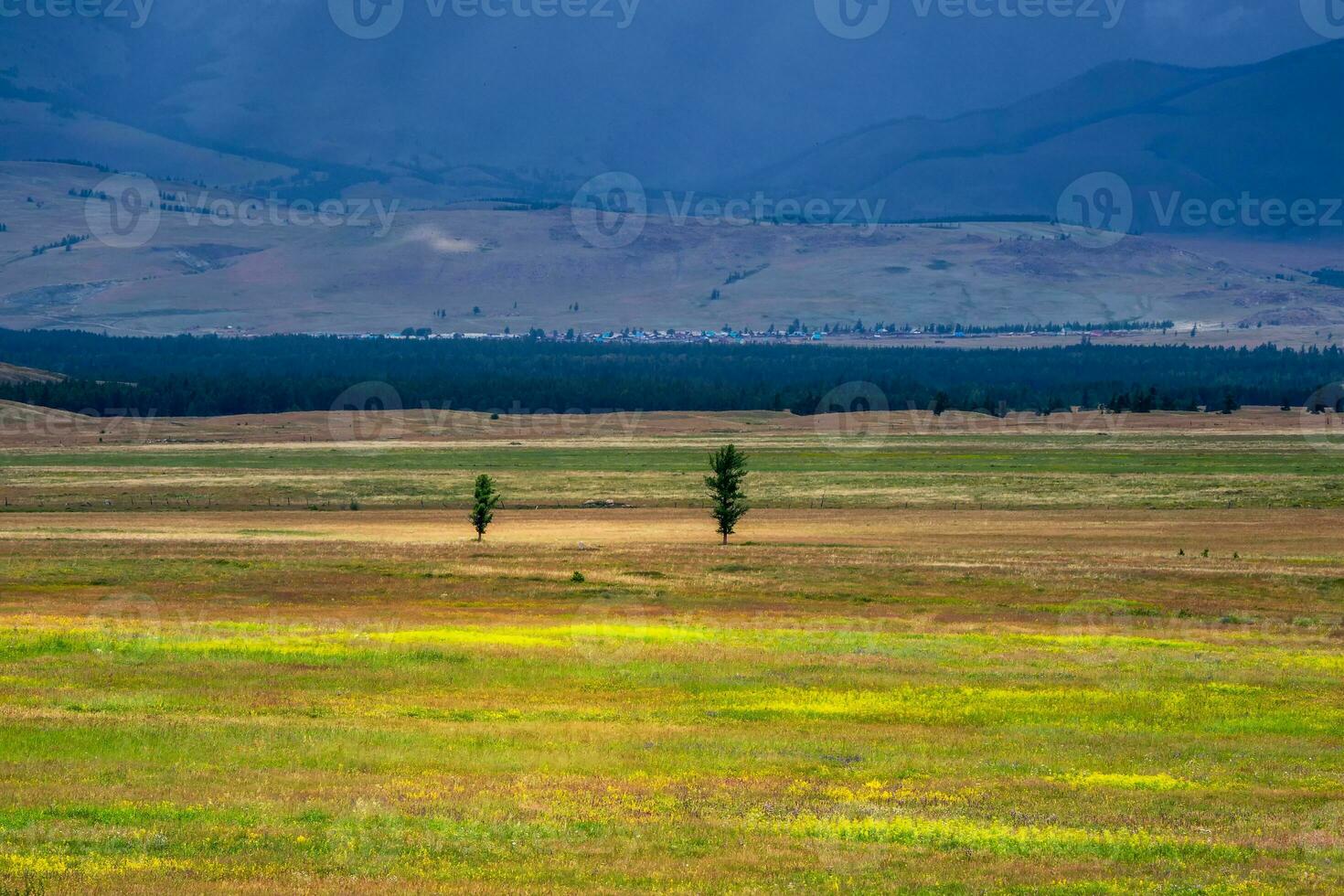 Bright summer steppe landscape. Steppe on the background of mountains. Background of agricultural field and mountains. photo