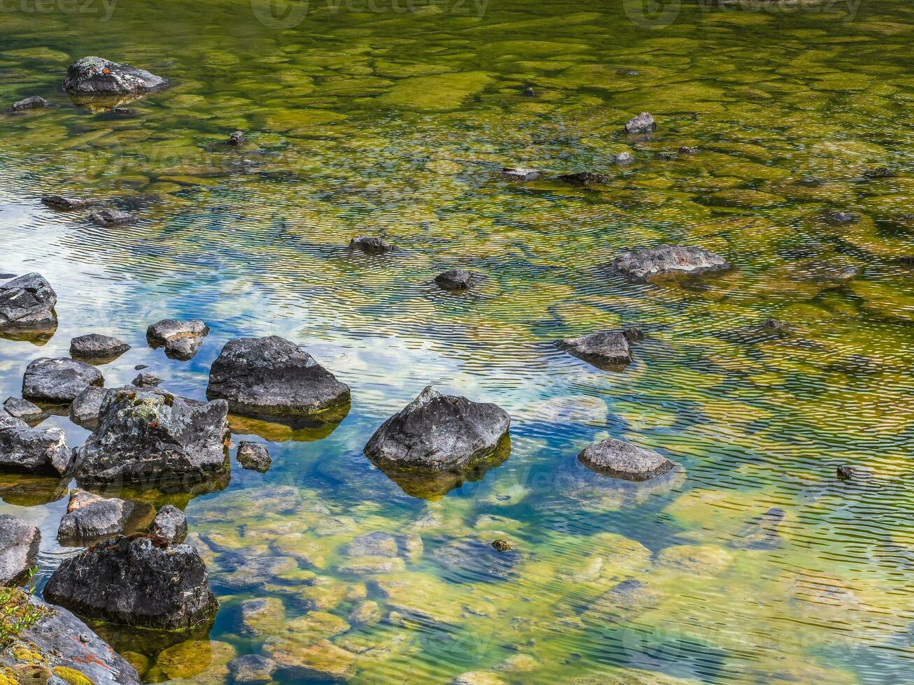 Beautiful nature background of stony bottom in turquoise transparent water. Glowing green natural background with a swamp surface. Scenery with wild flora of highlands in swampy mountain lake. photo