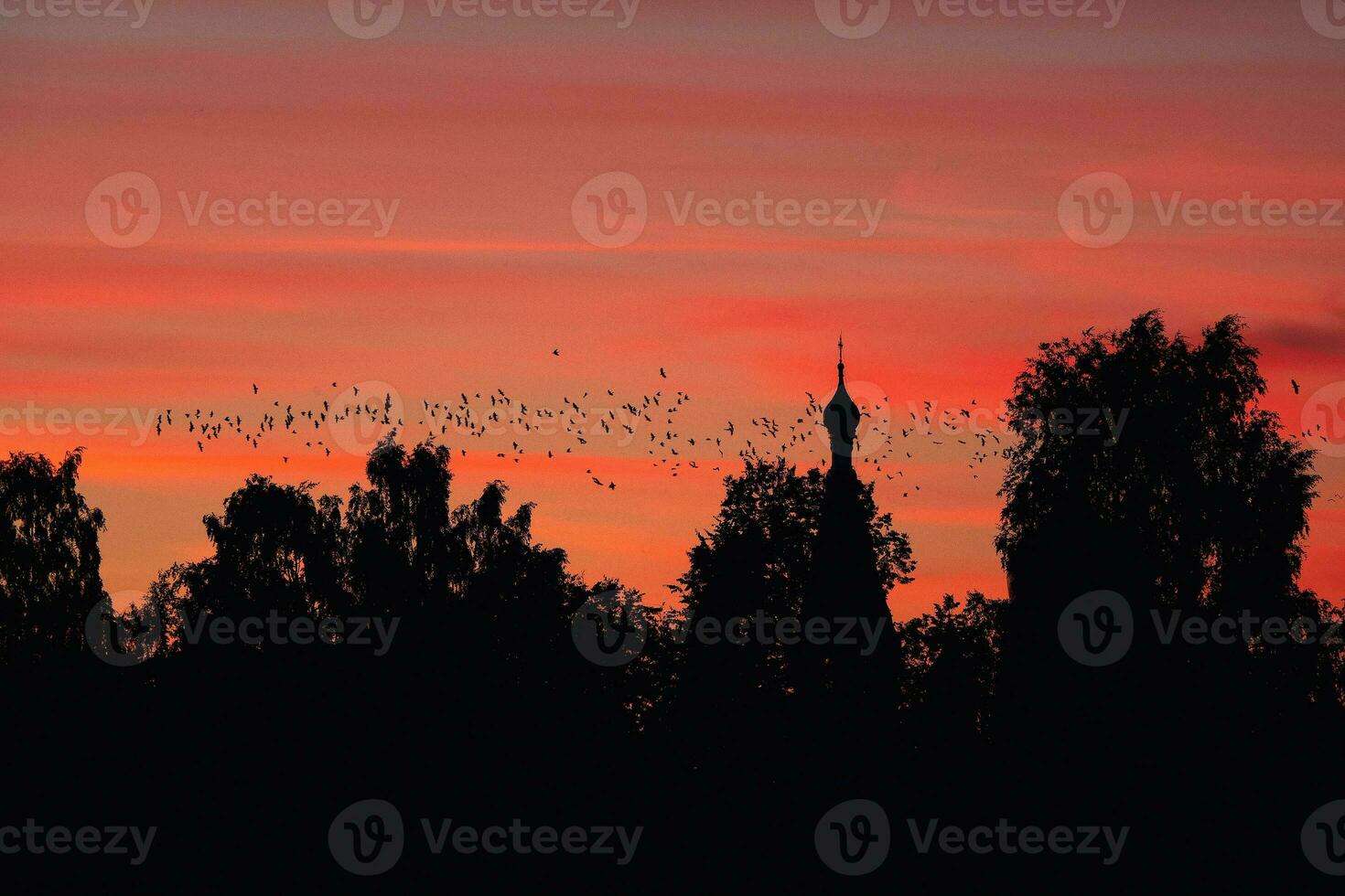 A flock of birds against the background of a Church and a red sunset. A mystical concept photo