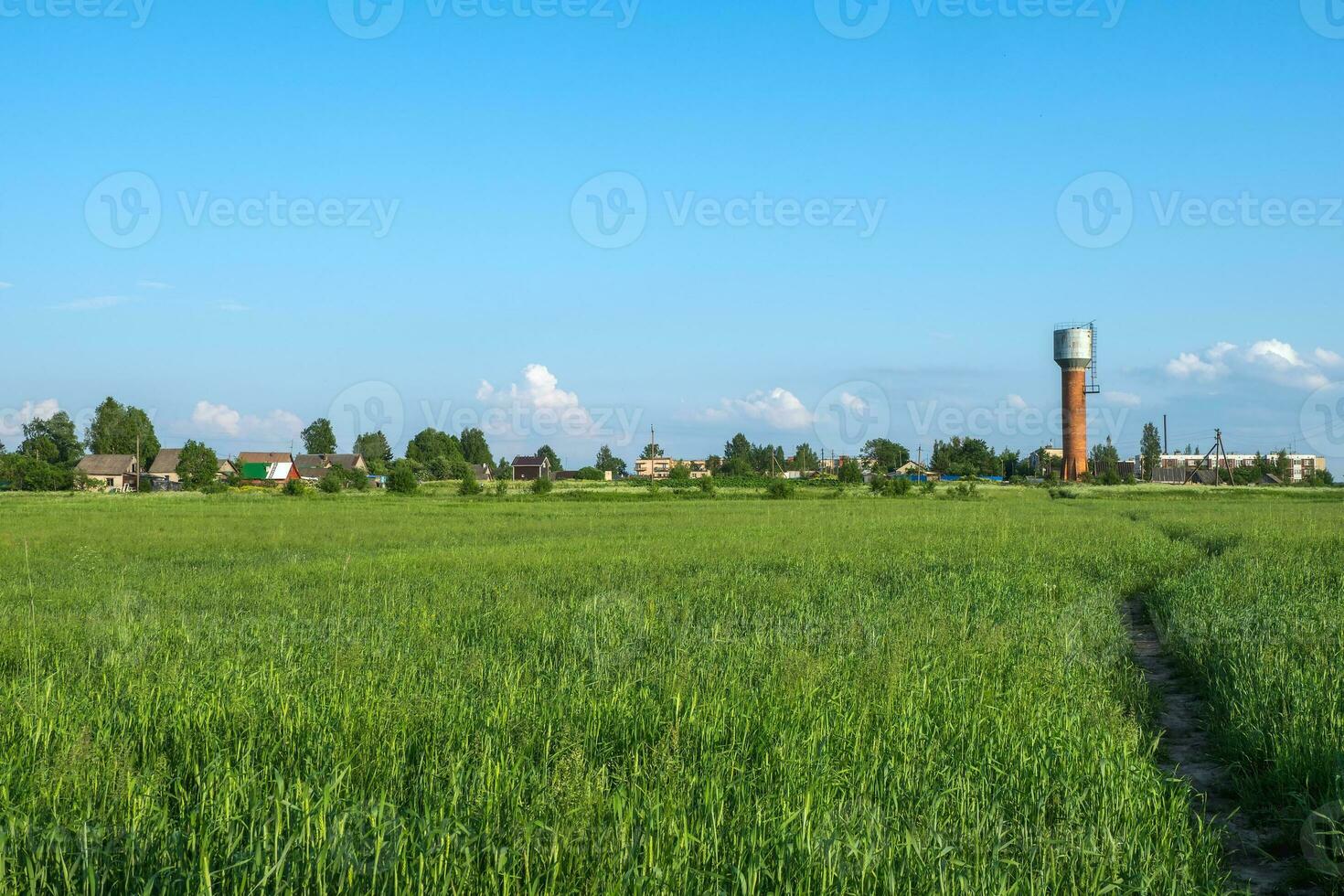 A wide open field with green grass on a summer day with a clear blue sky and a village on the horizon photo