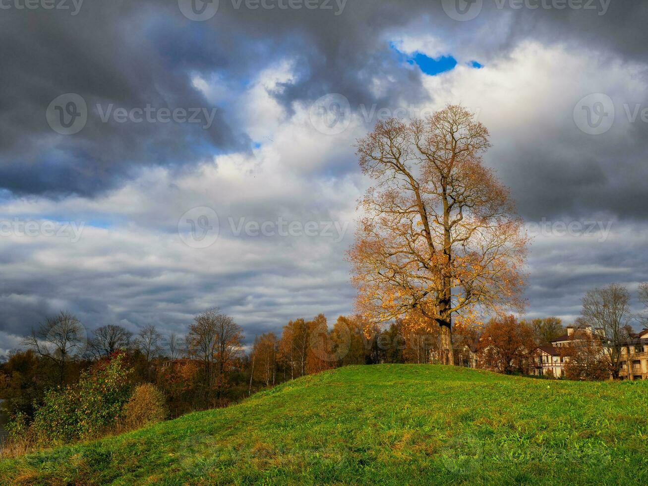 Beautiful autumn landscape with dramatic sky and leafless tree on a green hill. photo