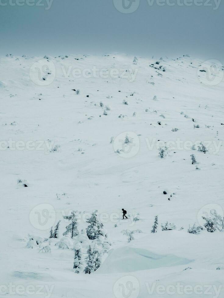 Polar expedition. Small silhouette a lonely traveler on snowshoes walks along a snowy slope. Severe northern weather, clear visibility. Vertical view. photo