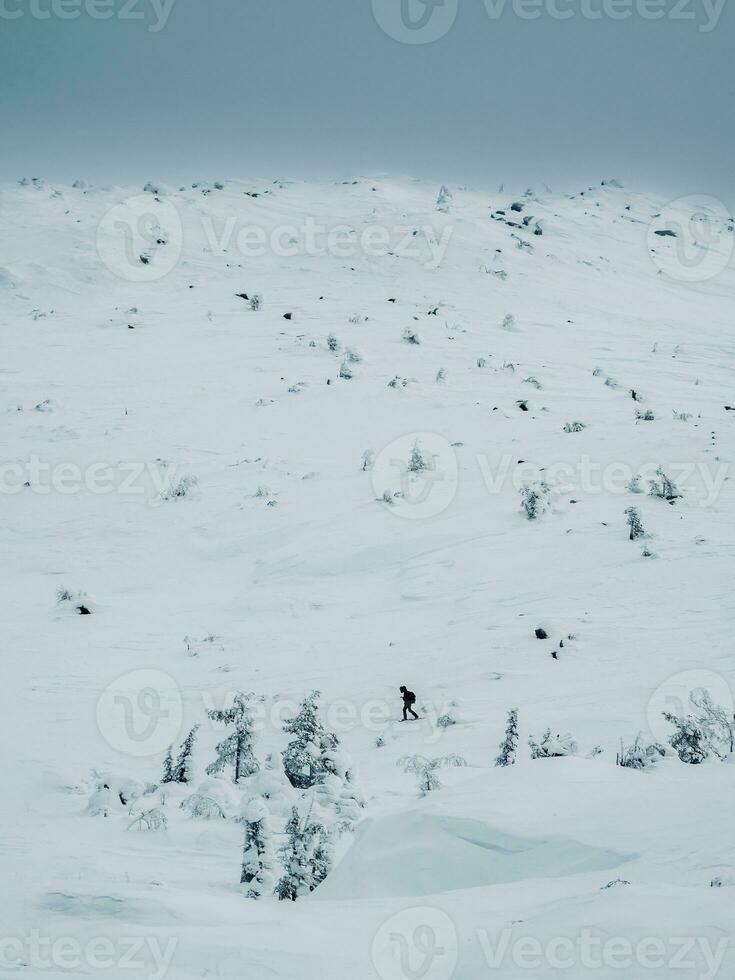 polar expedición. pequeño silueta un solitario viajero en raquetas de nieve camina a lo largo un Nevado pendiente. grave del Norte clima, claro visibilidad. vertical vista. foto