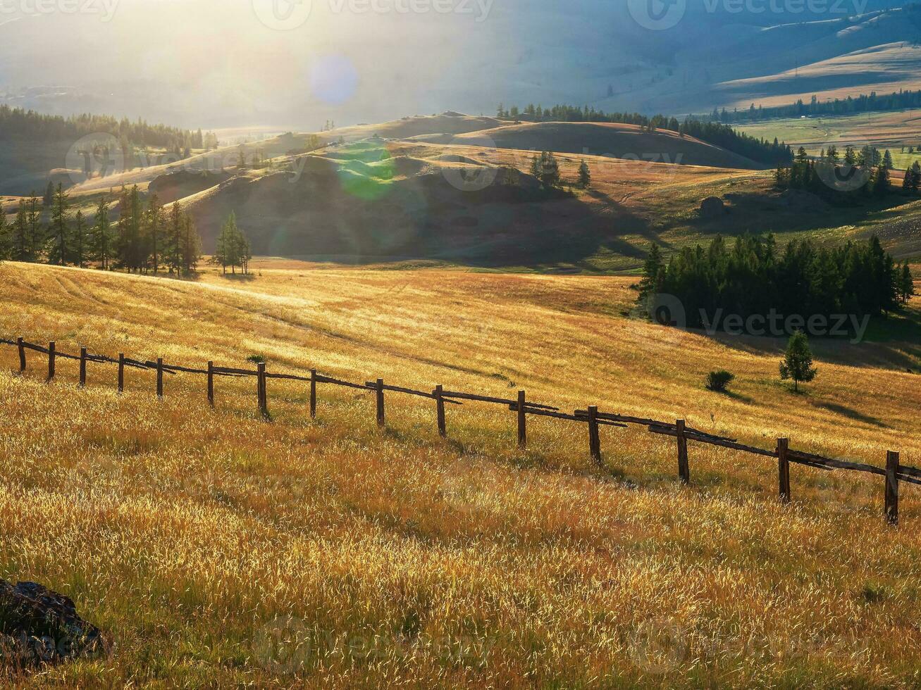 Beautiful sunny landscape with autumn field behind old wood fence. Hill with trees and cracked fence underwires on sunset sky. Vivid scenery with beautiful field and glare of the sun in mountains. photo