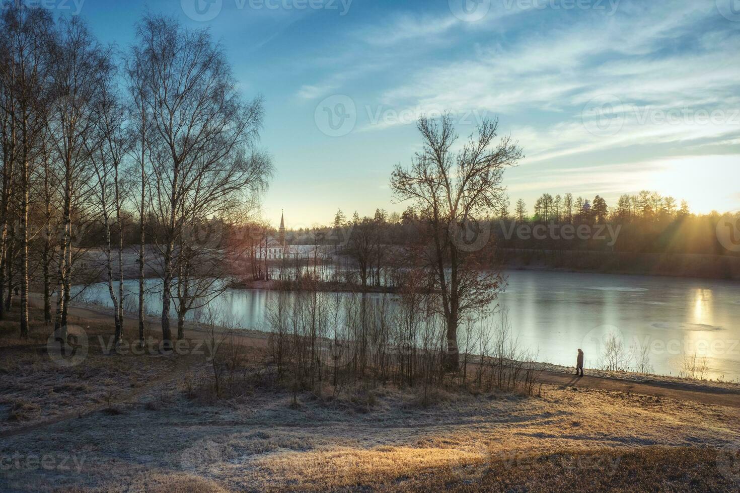 Winter Sunny landscape with an old Palace photo