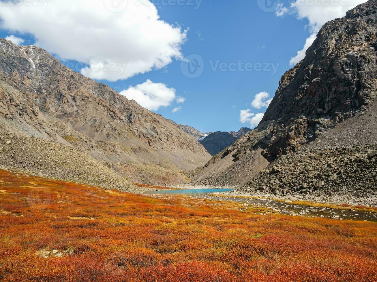 Scenic autumn landscape with sunset mountain pass under blue sky in sunny day. Colorful mountain scenery with stone hills and red dwarf birch shrub. Mountains in sunlight. photo