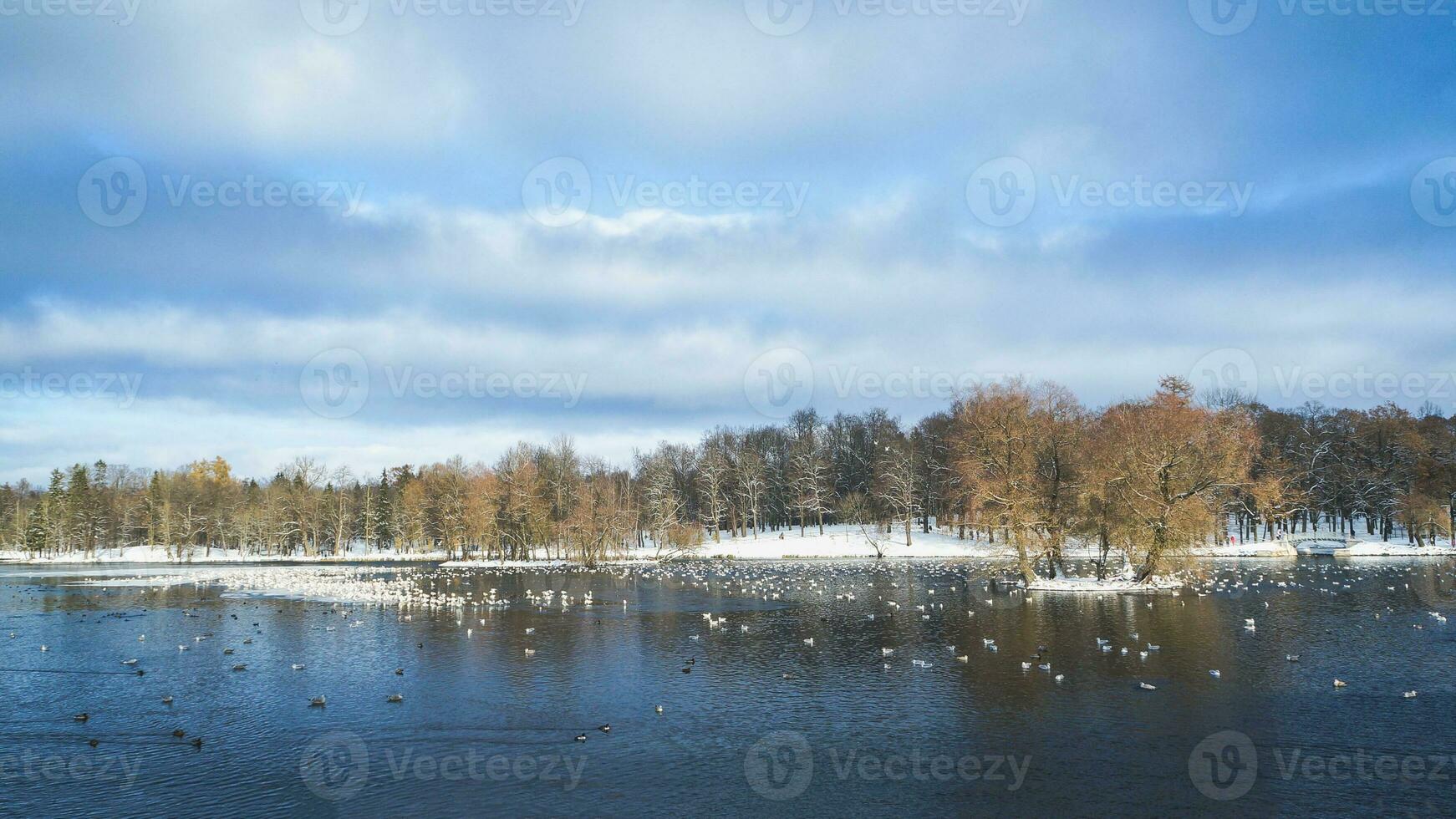 panorama de el invierno parque foto