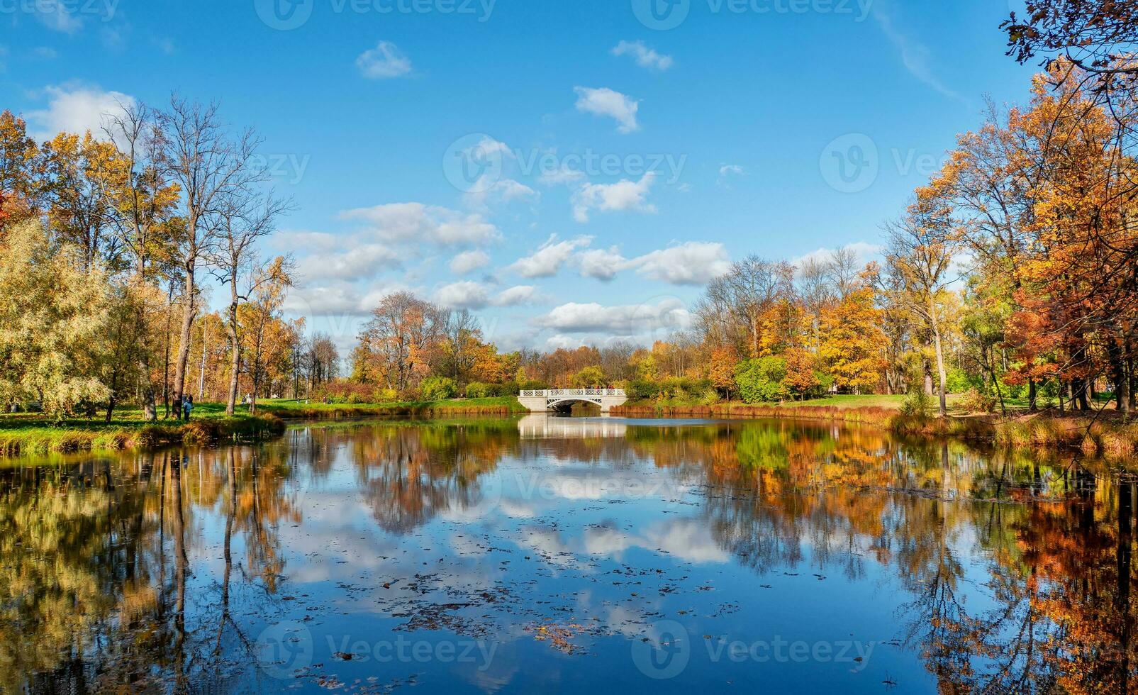 Autumn Park. Beautiful autumn landscape with old stone bridge, red trees and reflection on the lake. Alexander Park, Tsarskoe Selo. Russia photo