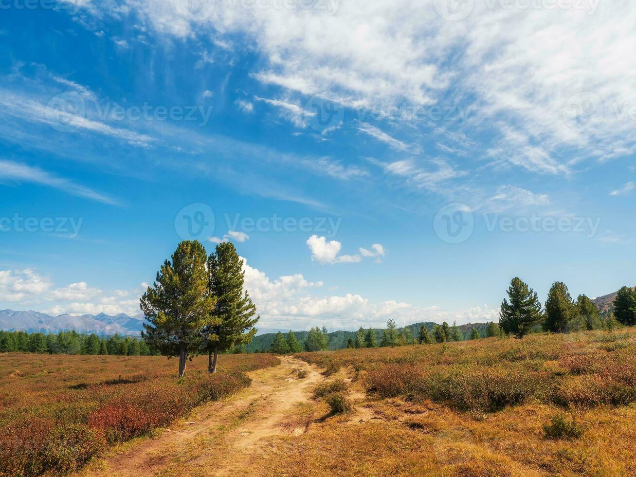 Autumn plateau. Hiking up the mountain trail. A bright atmospheric minimalist Alpine landscape with a rocky path among the grasses in the highlands. photo