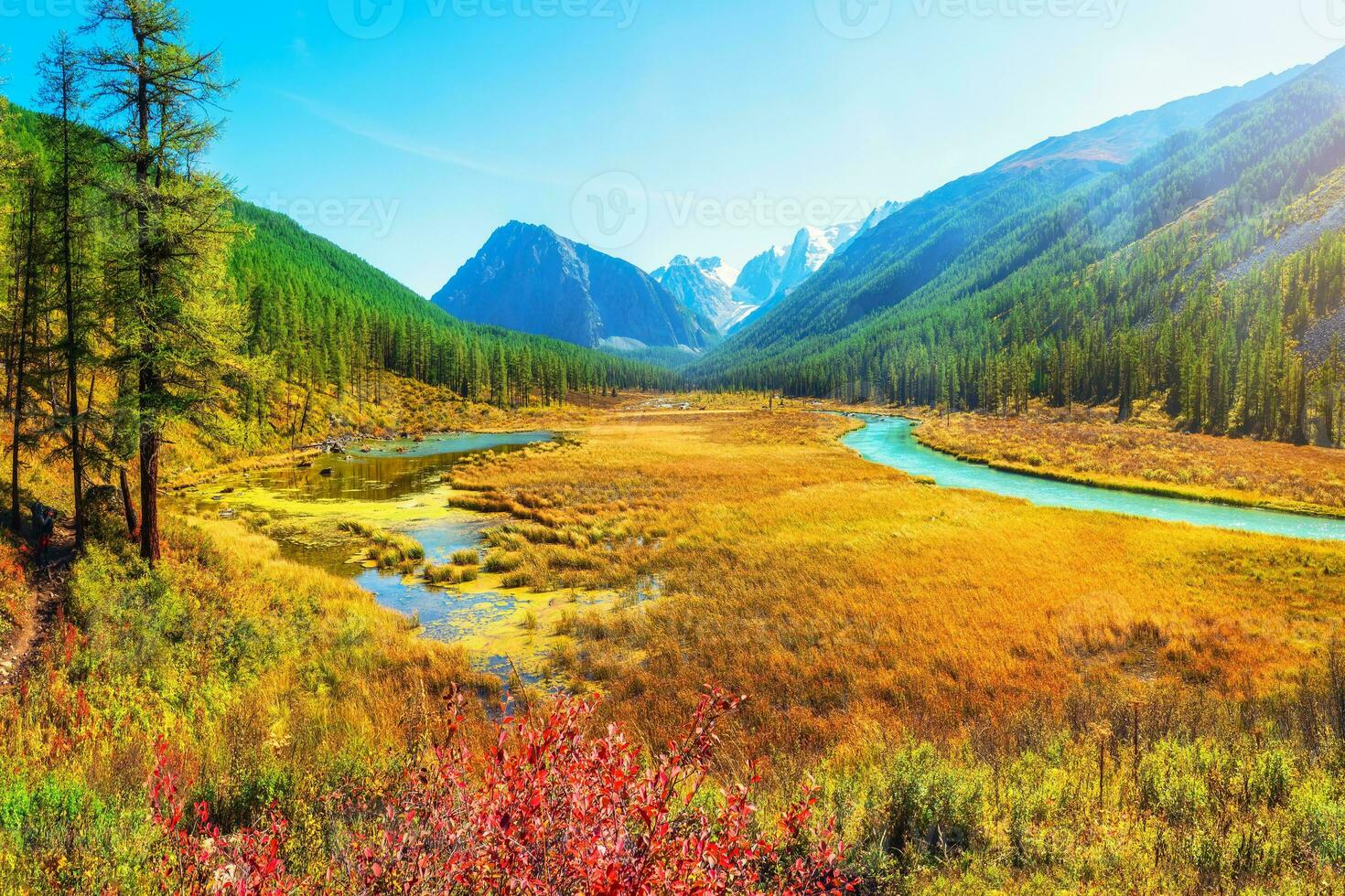 Atmospheric autumn landscape with swamp and  river in mountains. Path along the swamp. Beautiful alpine landscape with azure water in fast river. Power majestic nature of highlands. photo