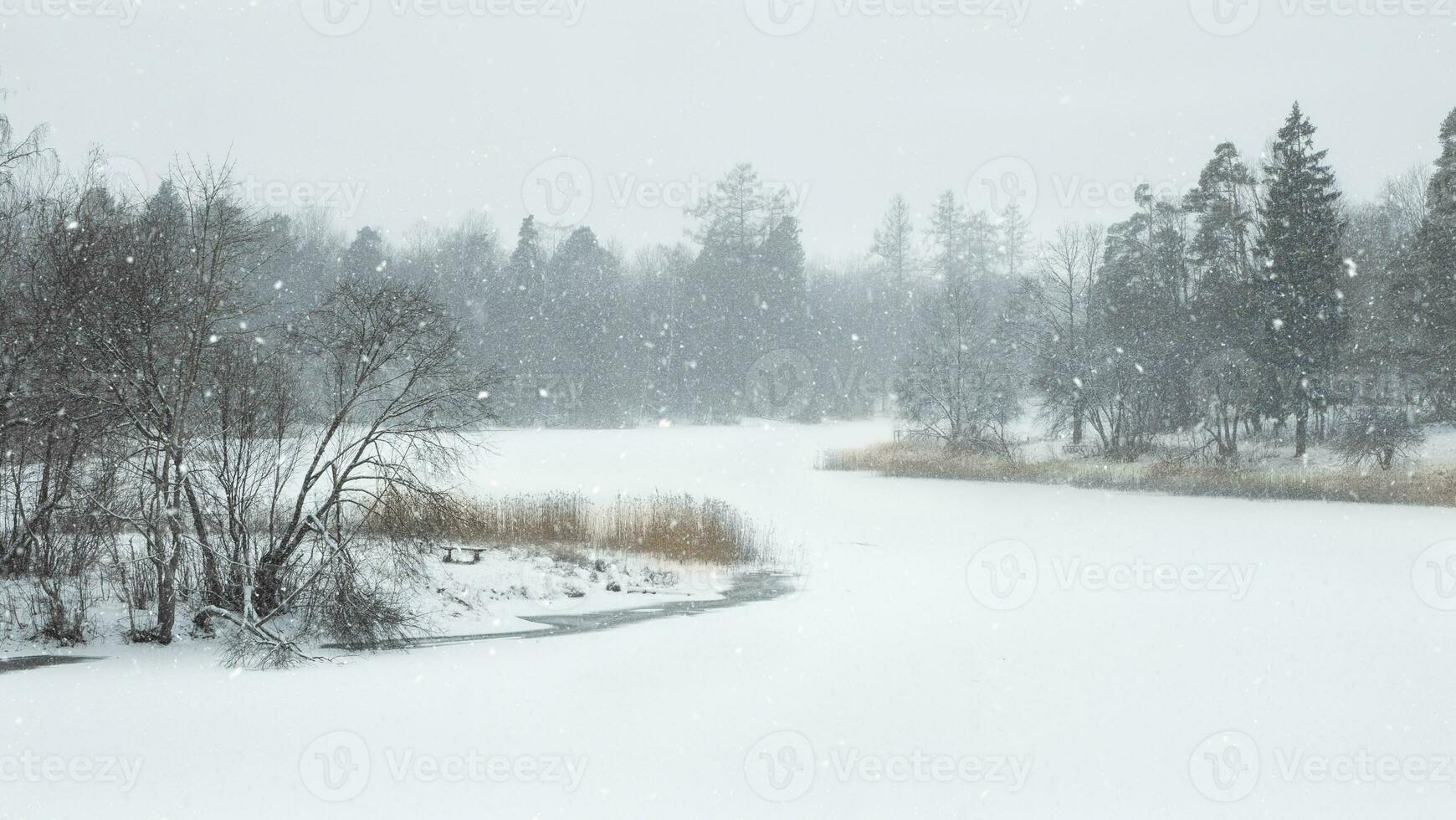 Atmospheric winter landscape. Frosty day on the lake photo