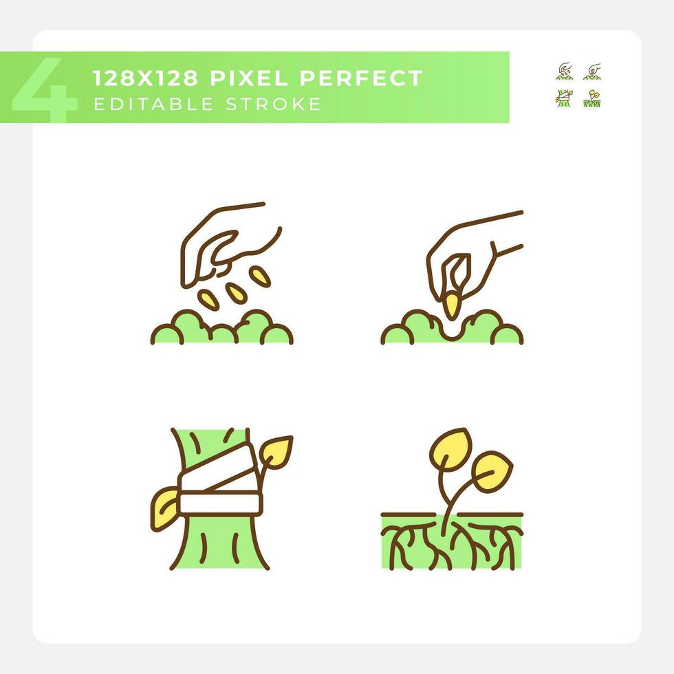 Growing plants green RGB color icons set. Organic gardening. Seed germination. Horticulture farming. Crop growth. Isolated vector illustrations. Simple filled line drawings collection. Editable stroke