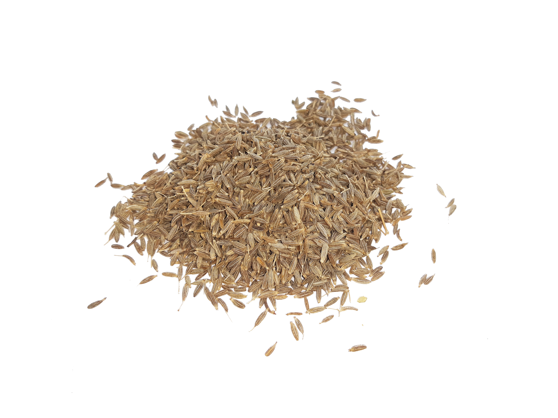 Cumin seeds isolated png 24761675 PNG