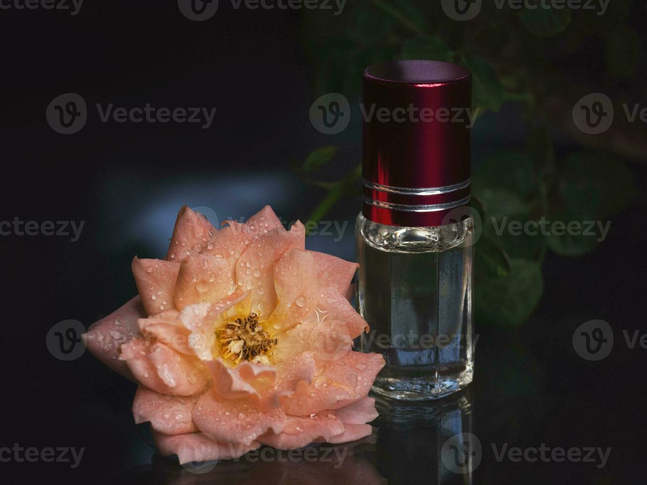 Concentrated perfume in a mini bottle with pink scented tea rose on the black background. photo