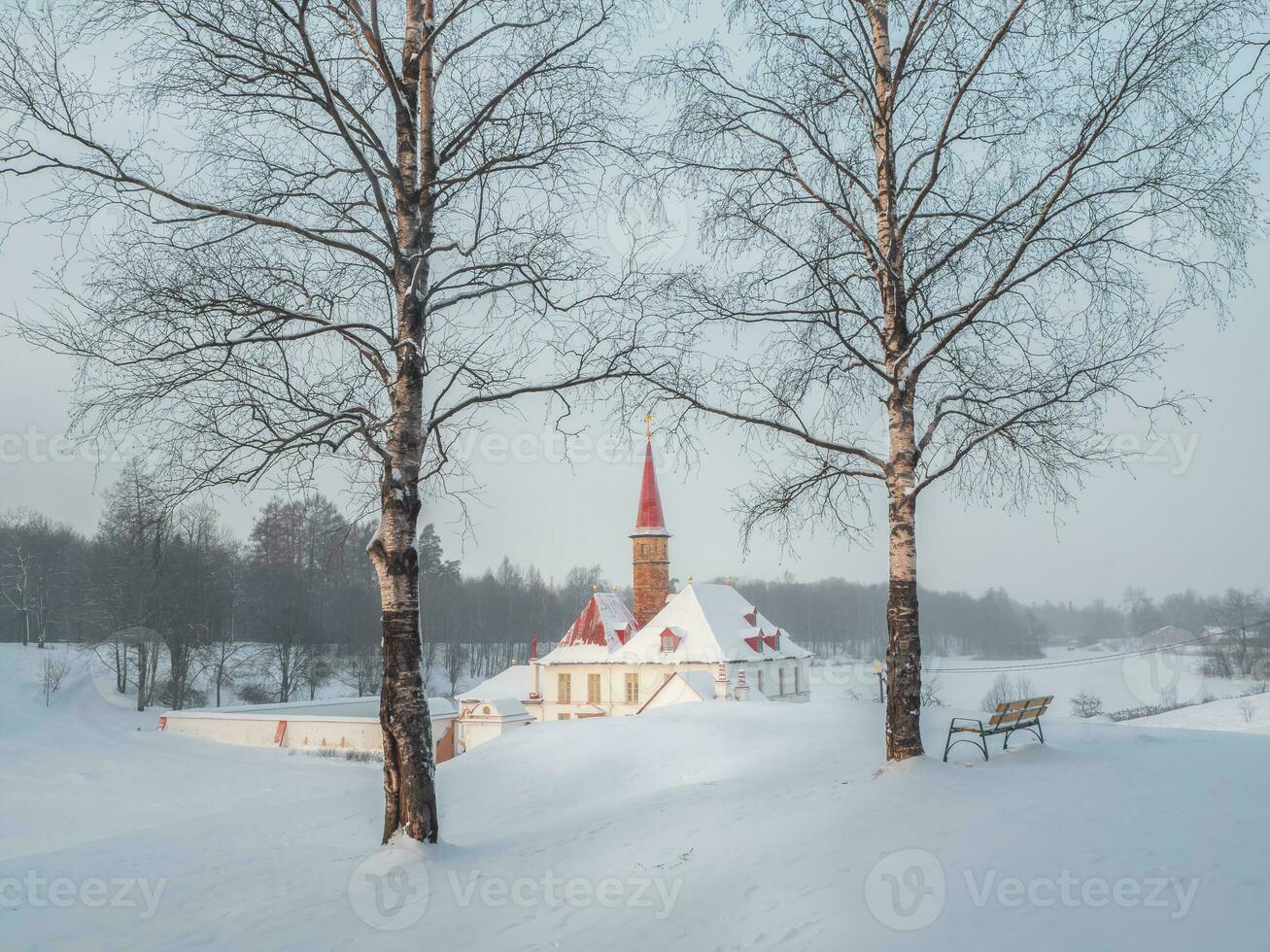 Winter morning frosty dawn. White snowy landscape with old Maltese palace in beautiful natural landscape. Gatchina. photo