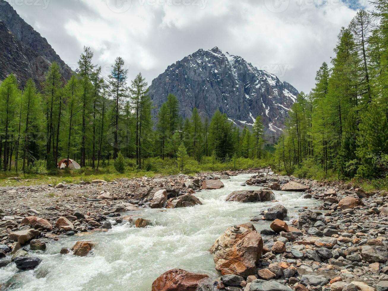 increíble paisaje con poderoso montaña río y conífero bosque en verde Valle en contra alto agudo rocas y Nevado montaña rango debajo nublado cielo. montaña Arroyo a lluvioso cambiable clima. foto