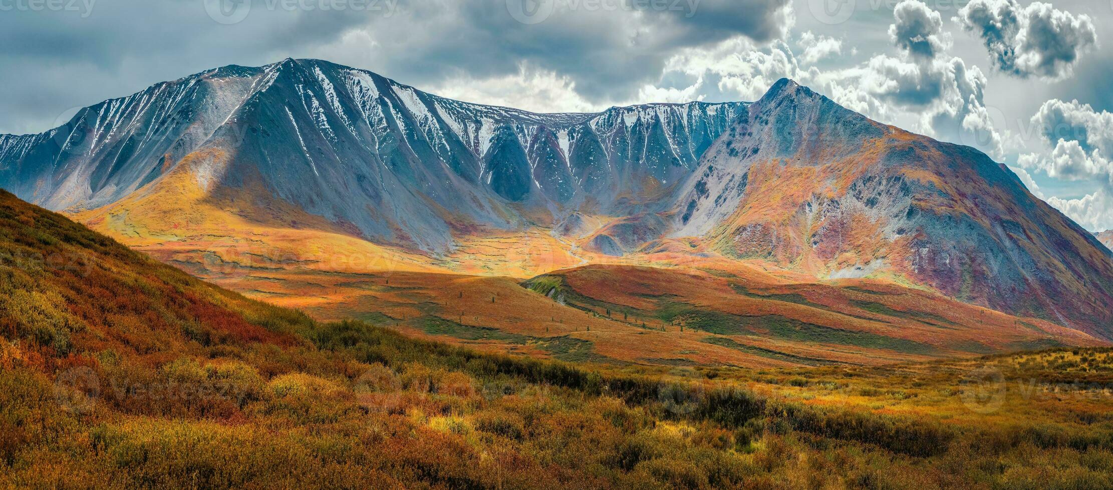 Panoramic autumn landscape with yellow dwarf birch on hills and beautiful rocky mountains in sunlight under dramatic sky. Multicolor mountain scenery with unusual rocks in autumn colors in sunshine. photo