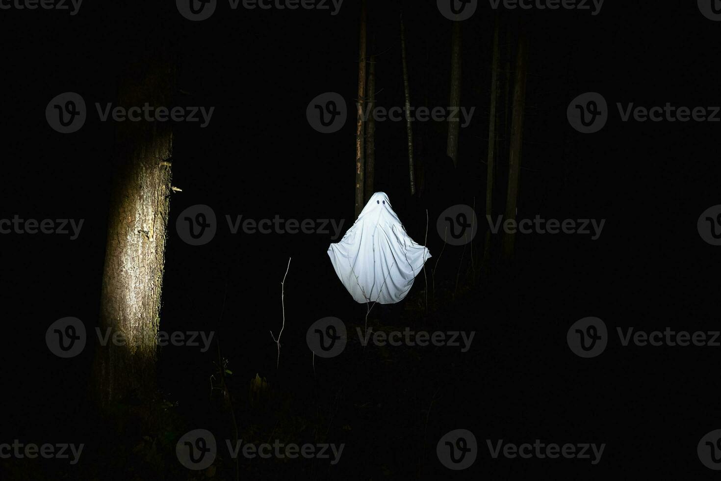 A ghost in a dark forest. Dark fantasy concept . Of a mysterious white ghost in a spooky forest. photo